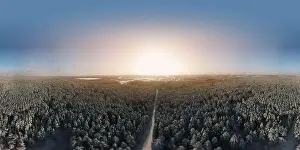 Coniferous Tree Prints: photo from a flying drone, a small planet and a winter landscape