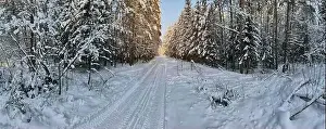 photo from a flying drone, a small planet and a winter landscape, pines and spruces are covered with snow