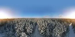 Coniferous Tree Prints: photo from a flying drone, a small planet and a winter landscape