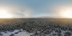 Coniferous Tree Prints: photo from a flying drone, a small planet and a winter landscape