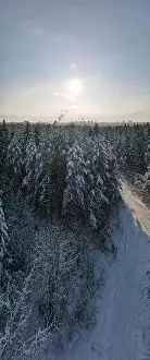 Coniferous Tree Prints: photo from a flying drone, a small planet and a winter landscape