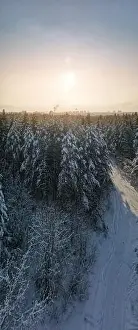 Coniferous Tree Prints: photo from a flying drone, a small planet and a winter landscape