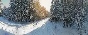 Coniferous Tree Prints: photo from a flying drone, a small planet and a winter landscape