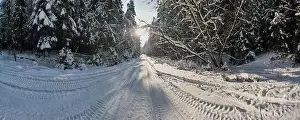 photo from a flying drone, a small planet and a winter landscape, pines and spruces are covered with snow