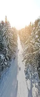 photo from a flying drone, a small planet and a winter landscape, pines and spruces are covered with snow