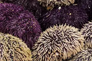 Spiny Prints: photo of healthy food on market