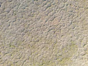 Disaster Prints: Photo of Karatas lake in Burdur dried up due to drought caused by global warming