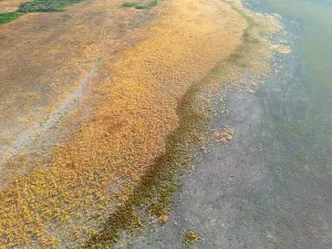 Disaster Prints: Photo of Karatas lake in Burdur dried up due to drought caused by global warming