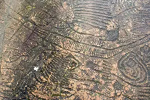 Markings Prints: Photograph Image Ancient Petroglyphs Near Sapa Vietnam