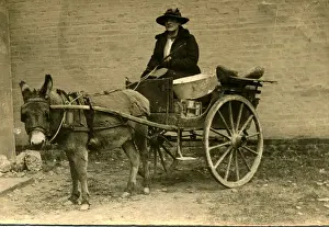 Donkey Prints: Photographic postcard of donkey cart circa 1905