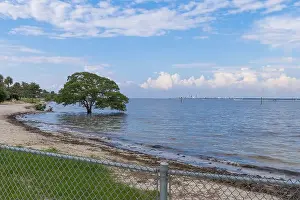 Beachfront Prints: Picnic Island Park City of Tampa Bay Florida USA