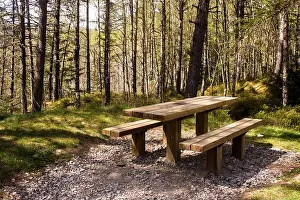 A Picnic table in the dappled light from the surrounding pinewoods in Glen Affric, Scotland