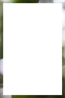Attached Prints: picture frame form bokeh