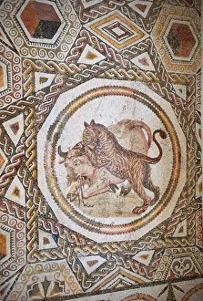 Tunisia Prints: Picture of a geometric Roman mosaics design depicting lions hunting animals