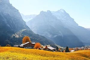 Images Dated 22nd October 2018: Picturesque autumn landscape in Switzerland mountains. Yellow leaves