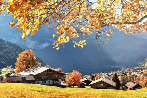 Picturesque autumn landscape with yellow leaves and wooden houses in Grindelwald village in Swiss Alps