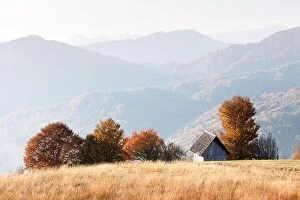Images Dated 16th October 2019: Picturesque autumn meadow with wooden house and red beech trees in the Carpathian mountains, Ukraine