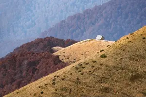 Picturesque autumn meadow with wooden house and red beech trees in the Carpathian mountains, Ukraine. Landscape photography