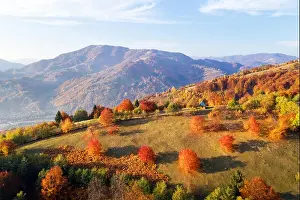 Picturesque autumn meadow with wooden house and red beech trees in the Carpathian mountains, Ukraine. Landscape photography