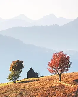 Picturesque autumn meadow with wooden house and red beech trees in the Carpathian mountains, Ukraine. Landscape photography
