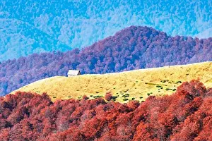 Picturesque autumn meadow with wooden house and red beech trees in the Carpathian mountains, Ukraine. Landscape photography