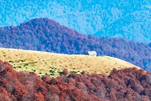 Picturesque autumn meadow with wooden house and red beech trees in the Carpathian mountains, Ukraine. Landscape photography