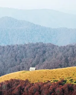 Picturesque autumn meadow with wooden house and red beech trees in the Carpathian mountains, Ukraine. Landscape photography