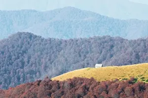 Landscape Prints: Picturesque autumn meadow with wooden house and red beech trees in the Carpathian mountains