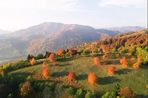 Picturesque autumn meadow with wooden house and red beech trees in the mountains