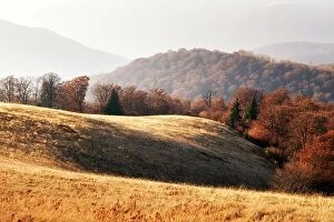 Images Dated 22nd October 2019: Picturesque autumn mountains with red beech forest in the Carpathian mountains, Ukraine