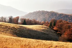 Picturesque autumn mountains with red beech forest in the Carpathian mountains, Ukraine. Landscape photography
