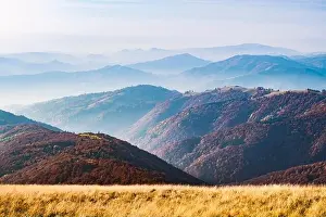 Picturesque autumn mountains with red beech forest in the Carpathian mountains, Ukraine. Landscape photography