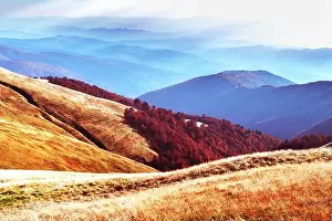 Picturesque autumn mountains with red beech forest in the Carpathian mountains, Ukraine. Landscape photography