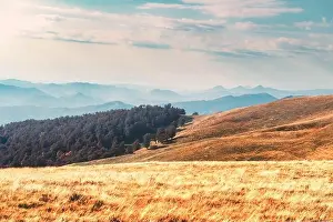Picturesque autumn mountains with red beech forest in the Carpathian mountains, Ukraine. Landscape photography