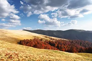 Picturesque autumn mountains with red beech forest in the Carpathian mountains, Ukraine. Landscape photography