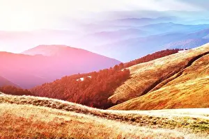 Picturesque autumn mountains with red beech forest in the Carpathian mountains. Landscape photography