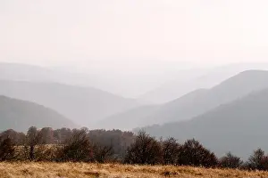 Picturesque autumn mountains with red beech forest in the Carpathian mountains, Ukraine. Landscape photography