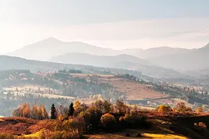 Picturesque autumn mountains with red beech forest in the Carpathian mountains, Ukraine. Landscape photography