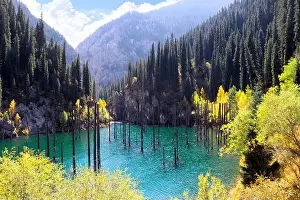Almaty Prints: Picturesque autumn scenery of Kaindy lake with dead trees
