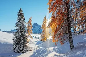 Picturesque landscape with orange larches covered by first snow on meadow Alpe di Siusi, Seiser Alm, Dolomites, Italy