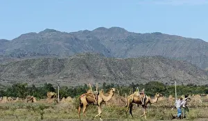 Horn Of Africa Prints: Picturesque landscapes along the road between Dessie and Weldiya in Ethiopia