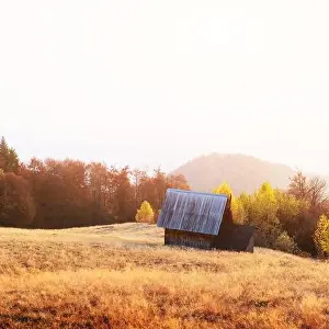 Picturesque meadow with wooden house and red beech trees in the autumn mountains. Landscape photography