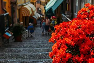 Alleyway Prints: Picturesque narrow street with stairs in Bellagio, Lake Como, Lombardy, Italy