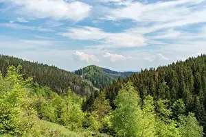 A picturesque natural landscape with lush evergreen trees