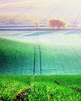 Picturesque rural landscape with green agricultural field and trees on spring hills. South Moravia region, Czech Republic