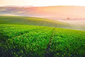 Picturesque rural landscape with green agricultural field and trees on spring hills. South Moravia region, Czech Republic