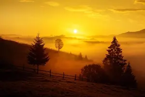 Picturesque rural landscape in spring mountains with trees and sea of fog. Incredible golden backlight from sunset sun