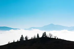 Summer Mountain Prints: Picturesque summer landscape in foggy day in Carpathian mountains