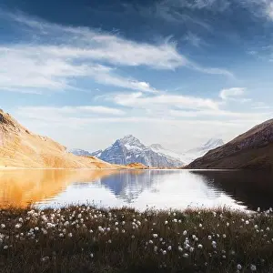 Picturesque view on Bachalpsee lake in Swiss Alps mountains. White flowers blooming on a foreground. Grindelwald valley, Switzerland