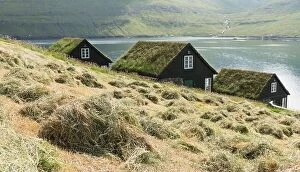 Images Dated 1st August 2019: Picturesque view of tradicional faroese grass-covered houses in the village Bour during autumn